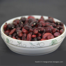Petits grains de haricots rouges foncés de petite taille chinoise types de haricots rénaux
